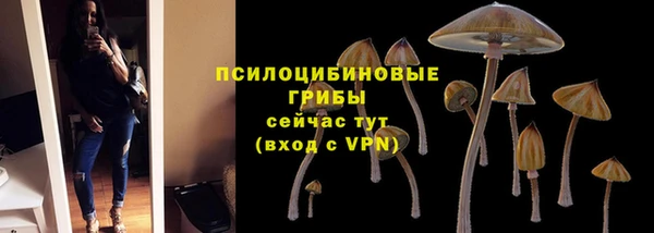 mix Алексеевка